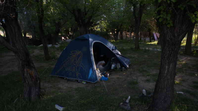 Camp side v meruňkovém háji